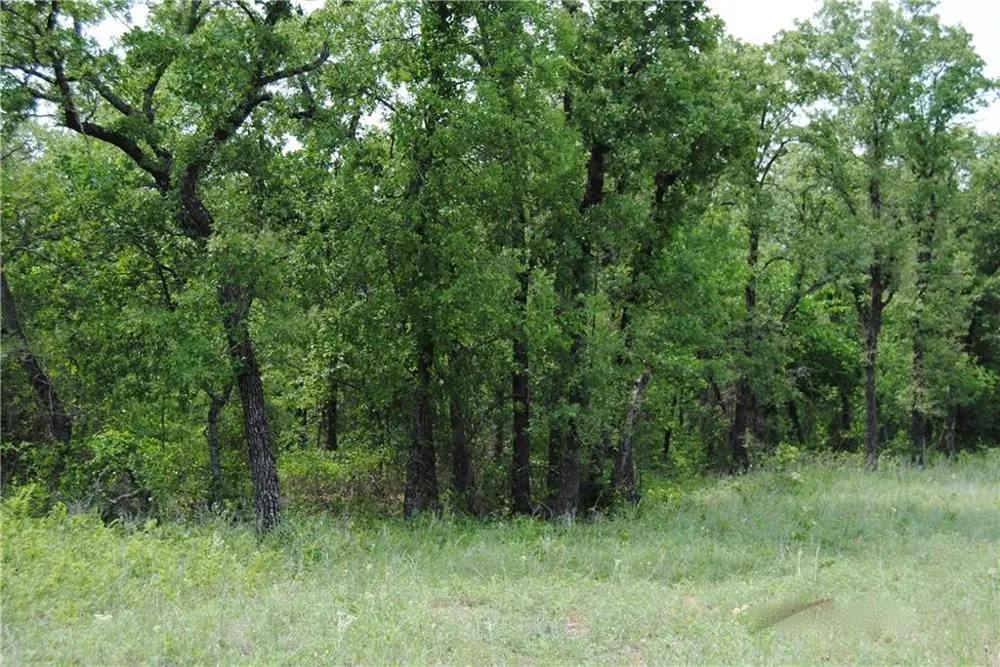 9 FM 2123 Paradise, TX 76073