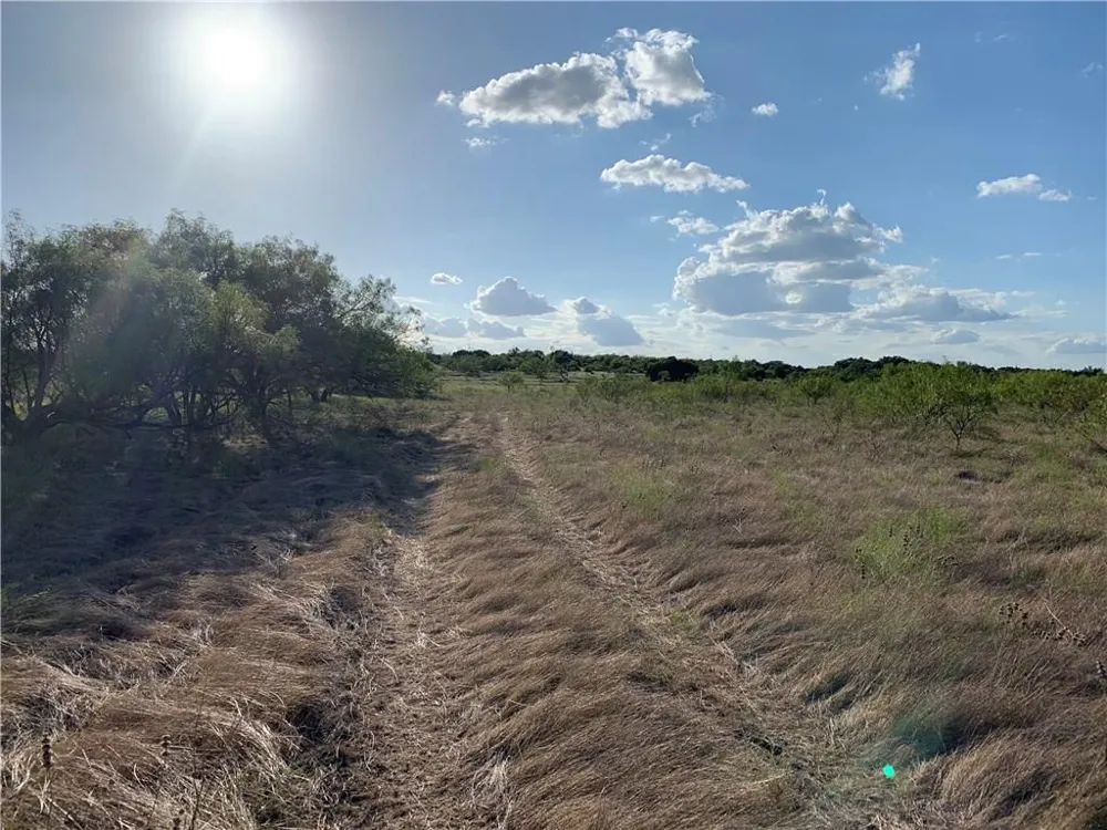 1450 CR 165 Sidney, TX 76474