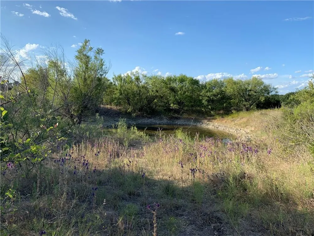 1450 CR 165 Sidney, TX 76474
