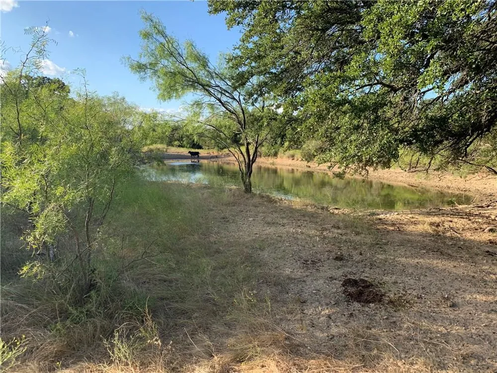1450 CR 165 Sidney, TX 76474