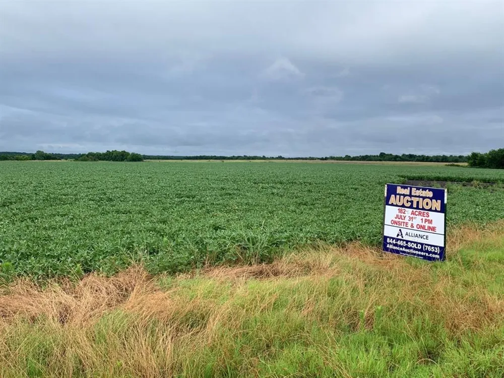 FM 904 ES Pecan Gap, TX 75469