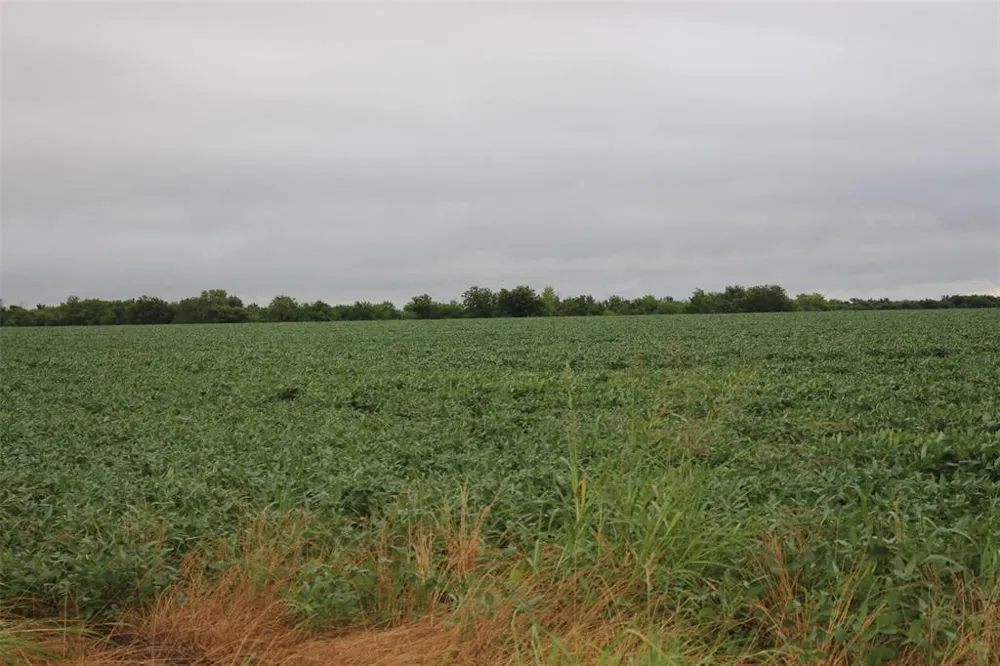 FM 904 ES Pecan Gap, TX 75469