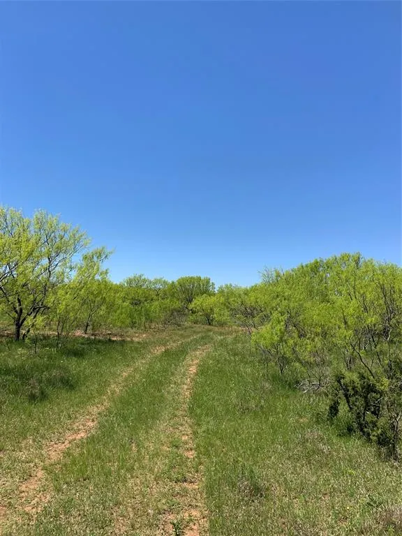 9998 Hwy 67-84 Santa Anna, TX 76878