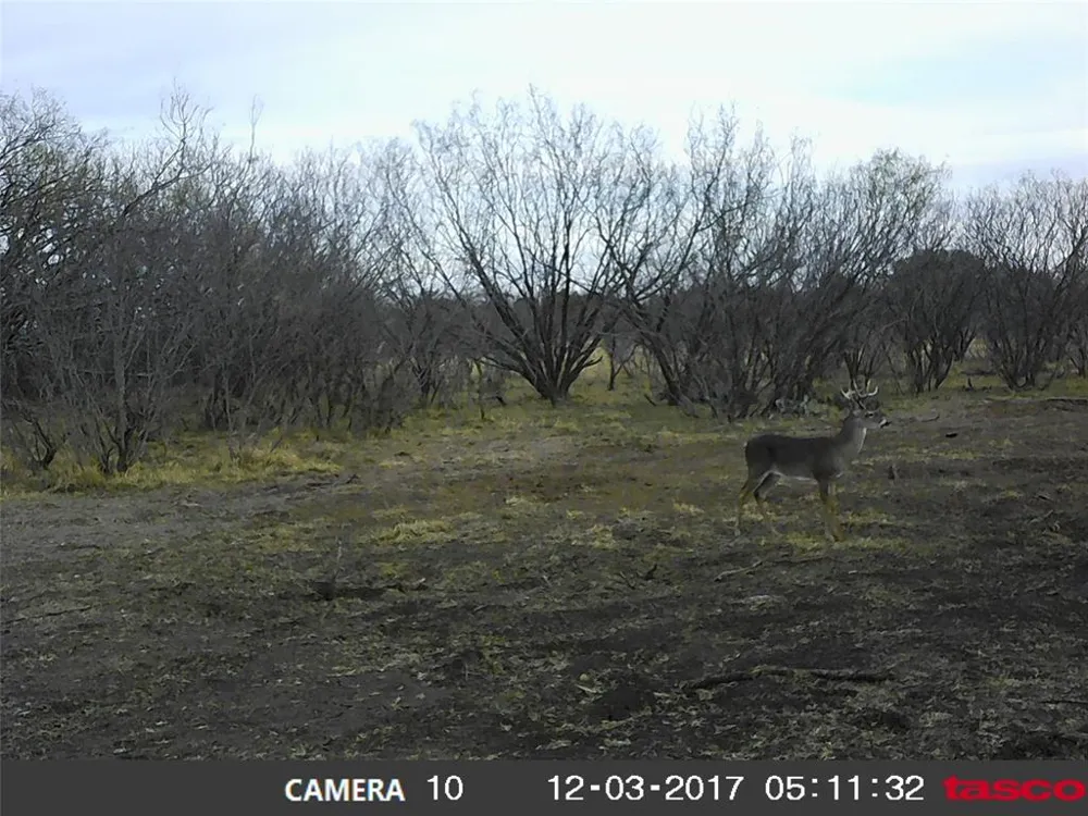 9998 Hwy 67-84 Santa Anna, TX 76878