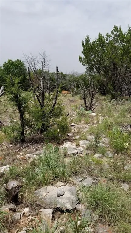 Harbour Town Drive Graford, TX 76449
