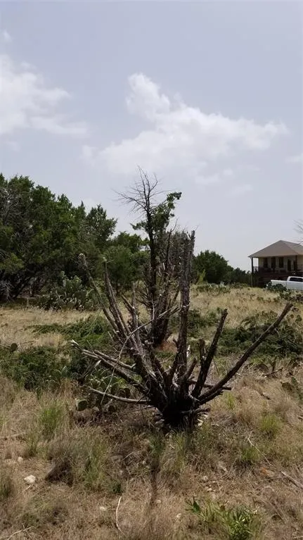 Harbour Town Drive Graford, TX 76449