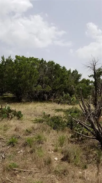 Harbour Town Drive Graford, TX 76449