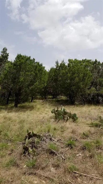 Harbour Town Drive Graford, TX 76449