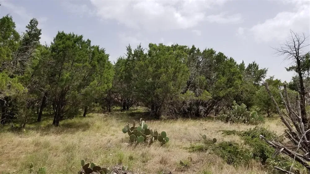 Harbour Town Drive Graford, TX 76449
