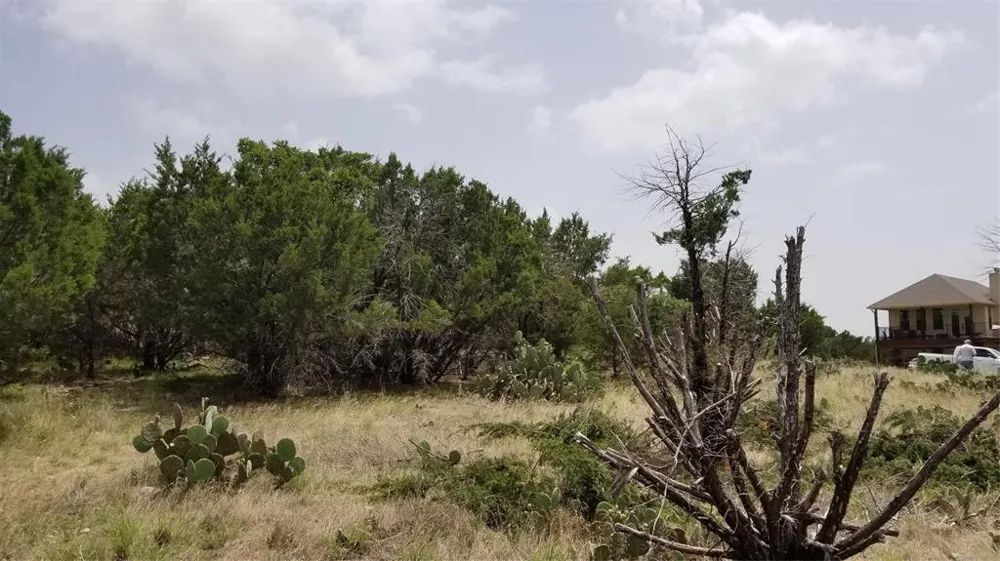 Harbour Town Drive Graford, TX 76449