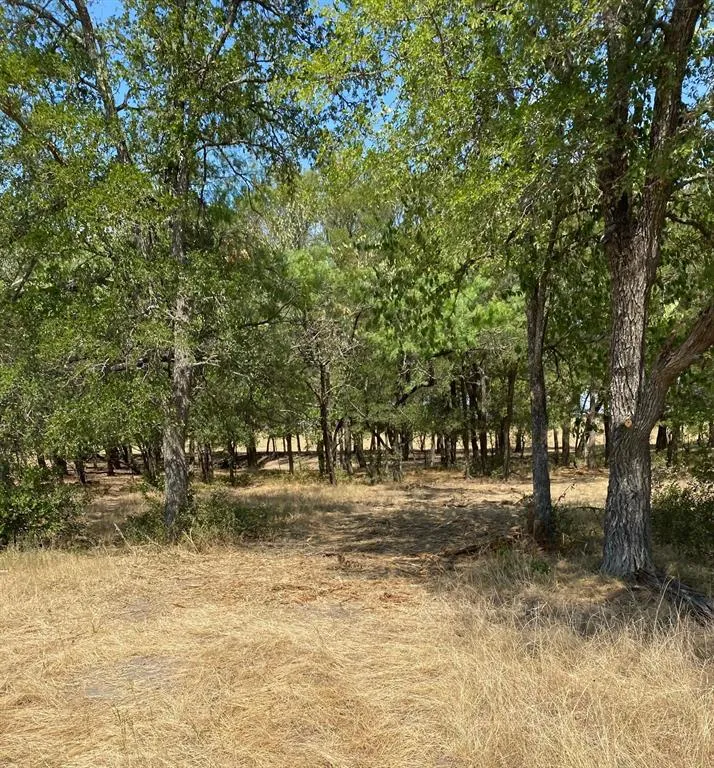 W HWY 84 Prairie Hill, TX 76678