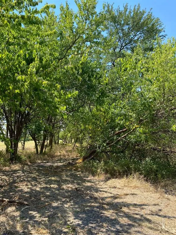 W HWY 84 Prairie Hill, TX 76678