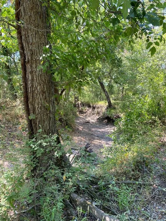 W HWY 84 Prairie Hill, TX 76678