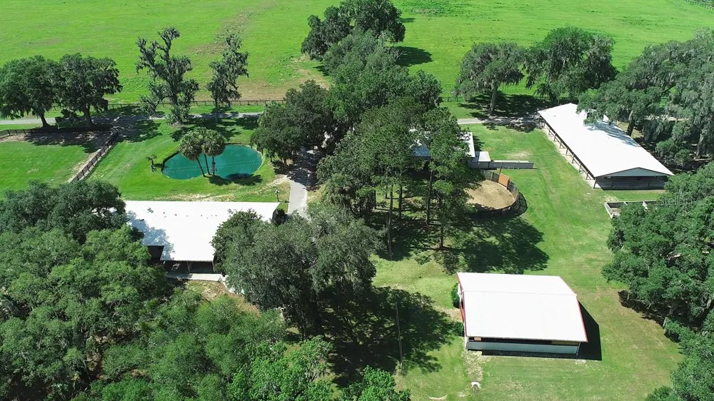 13450 NW GAINESVILLE ROAD Reddick, FL 32686