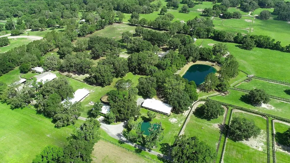 13450 NW GAINESVILLE ROAD Reddick, FL 32686