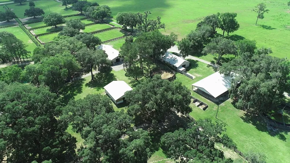 13450 NW GAINESVILLE ROAD Reddick, FL 32686