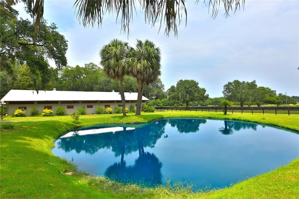 13450 NW GAINESVILLE ROAD Reddick, FL 32686