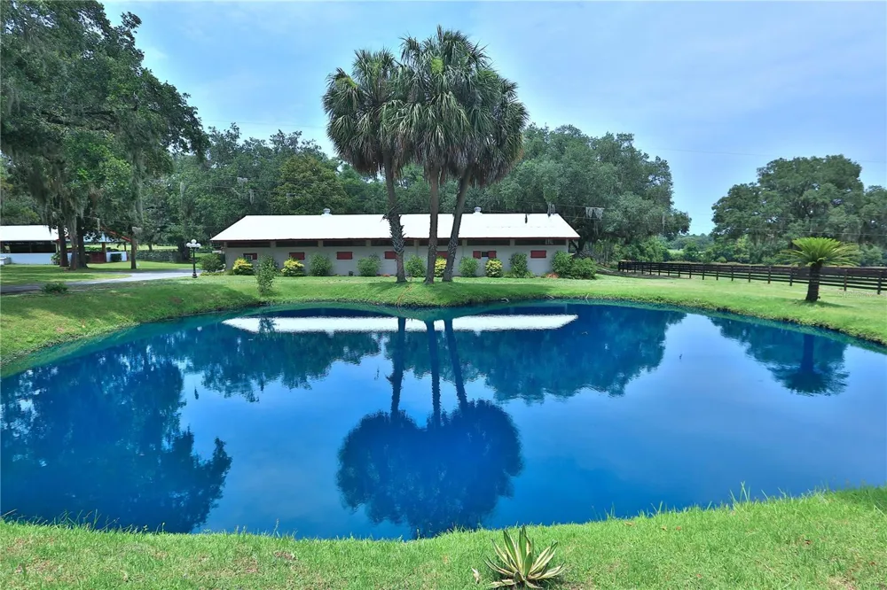 13450 NW GAINESVILLE ROAD Reddick, FL 32686