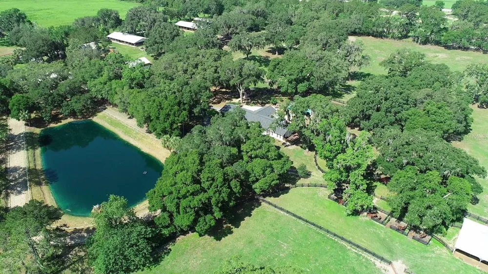13450 NW GAINESVILLE ROAD Reddick, FL 32686