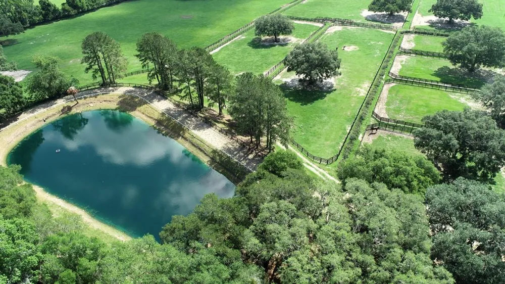 13450 NW GAINESVILLE ROAD Reddick, FL 32686
