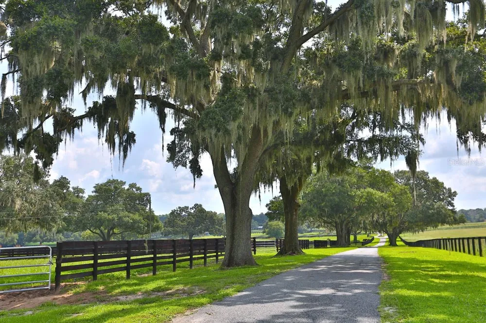 13450 NW GAINESVILLE ROAD Reddick, FL 32686