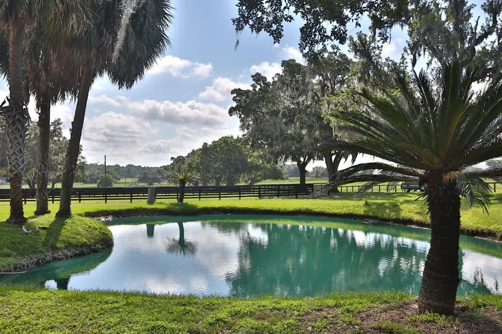 13450 NW GAINESVILLE ROAD Reddick, FL 32686
