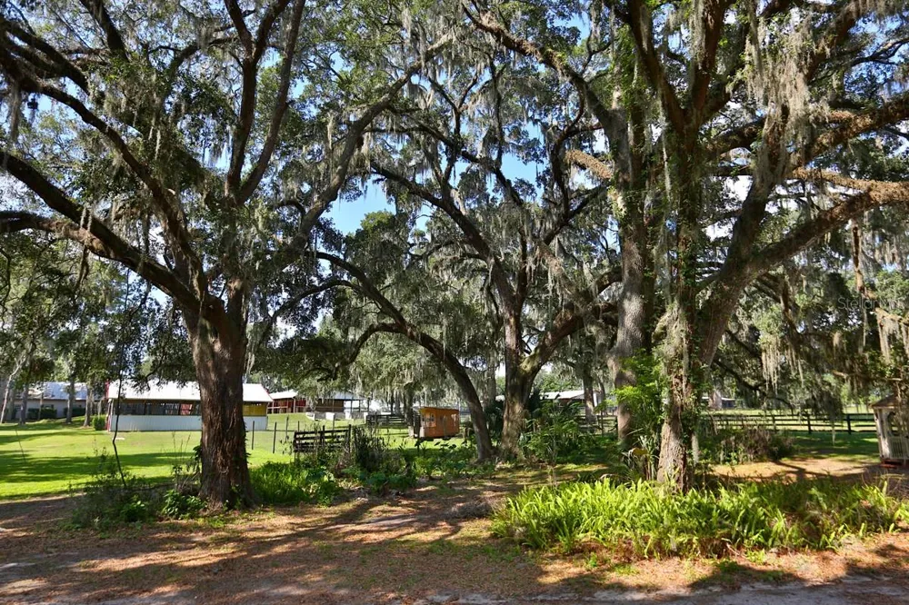 13450 NW GAINESVILLE ROAD Reddick, FL 32686