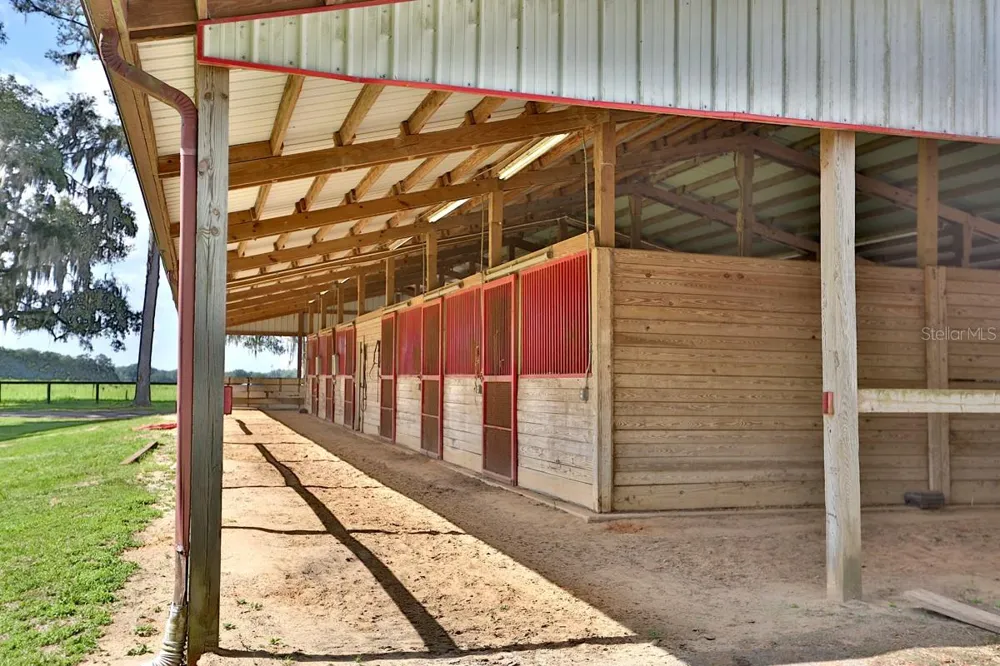 13450 NW GAINESVILLE ROAD Reddick, FL 32686