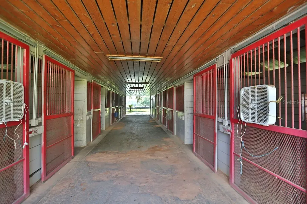 13450 NW GAINESVILLE ROAD Reddick, FL 32686
