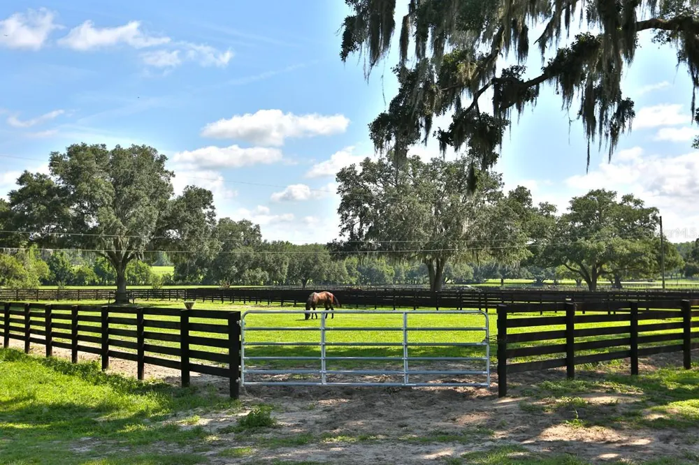 13450 NW GAINESVILLE ROAD Reddick, FL 32686