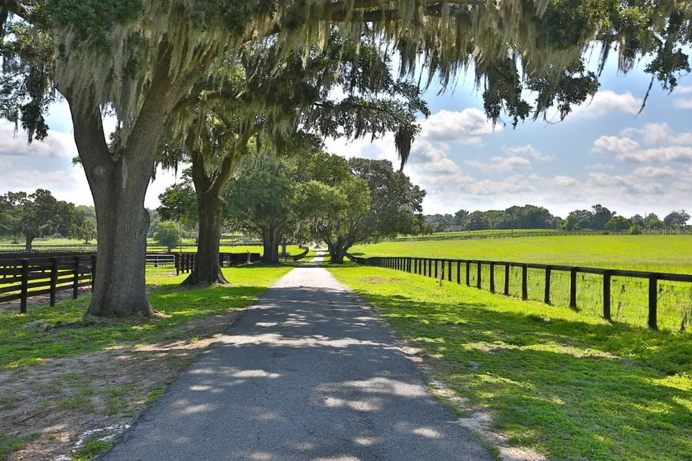 13450 NW GAINESVILLE ROAD Reddick, FL 32686