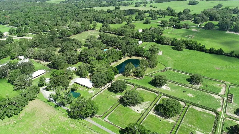 13450 NW GAINESVILLE ROAD Reddick, FL 32686