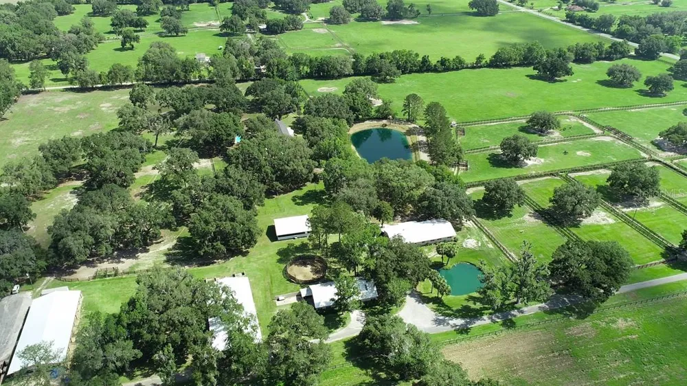 13450 NW GAINESVILLE ROAD Reddick, FL 32686