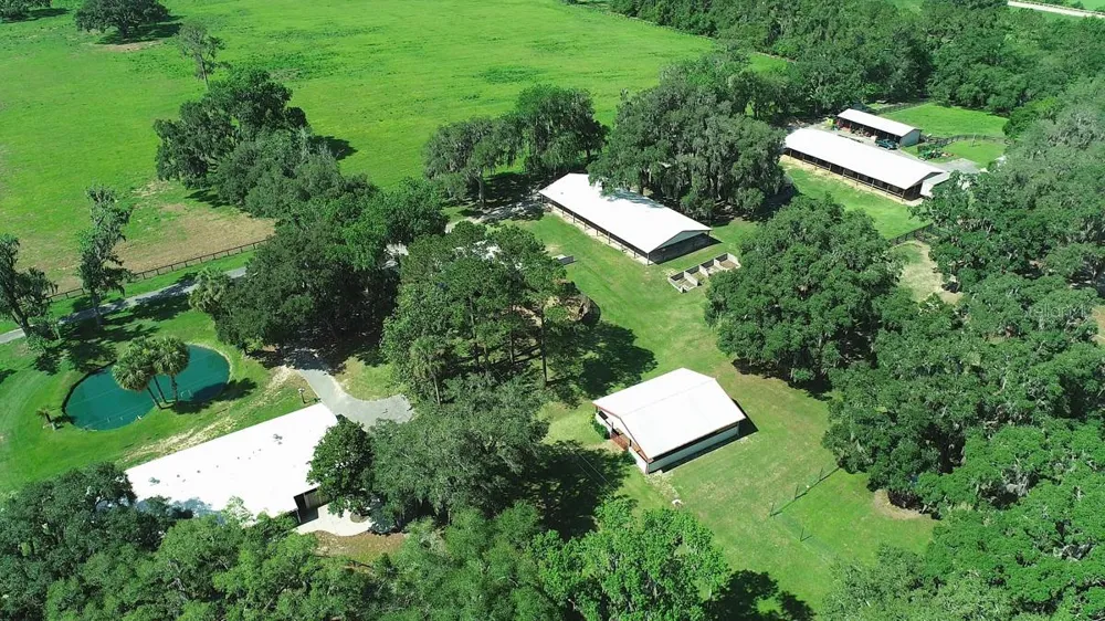 13450 NW GAINESVILLE ROAD Reddick, FL 32686