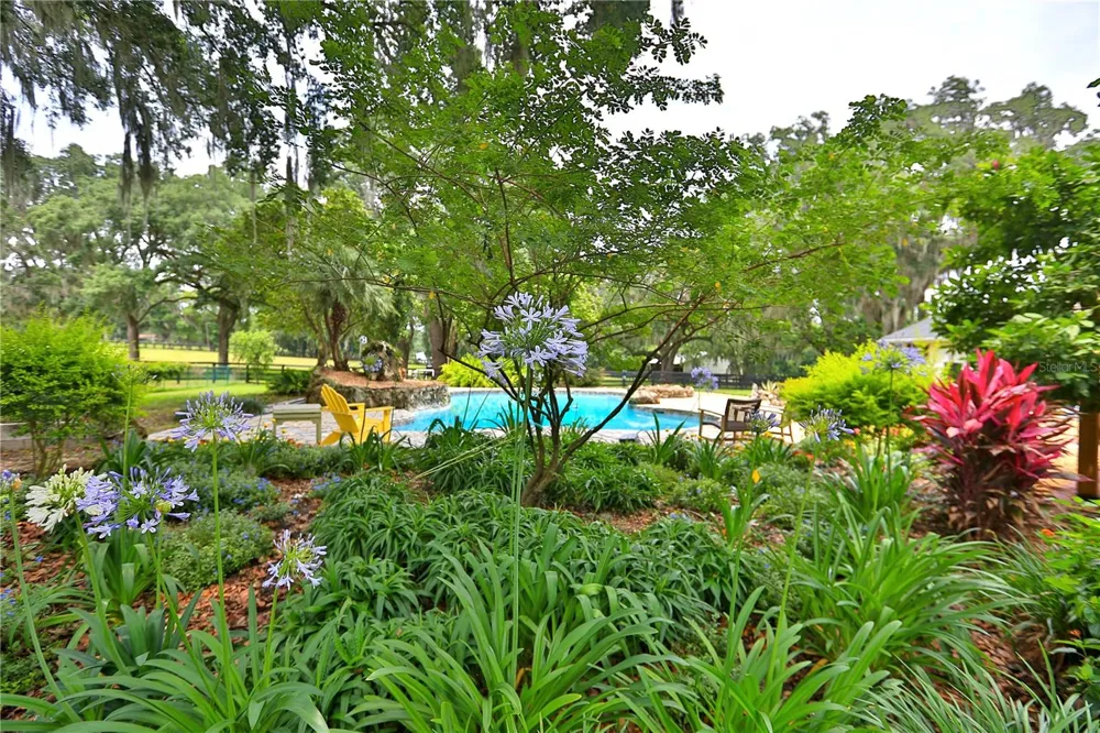 13450 NW GAINESVILLE ROAD Reddick, FL 32686