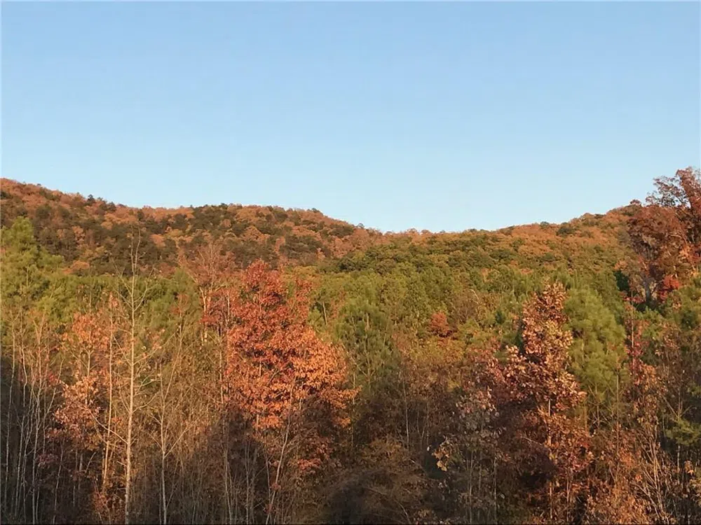 200 Ridgeview Trail Calhoun, GA 30701