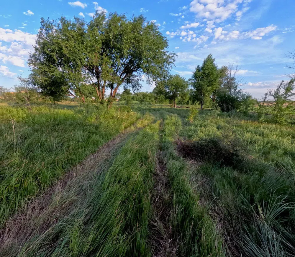 8109 County Road 6050 Shallowater, TX 79363