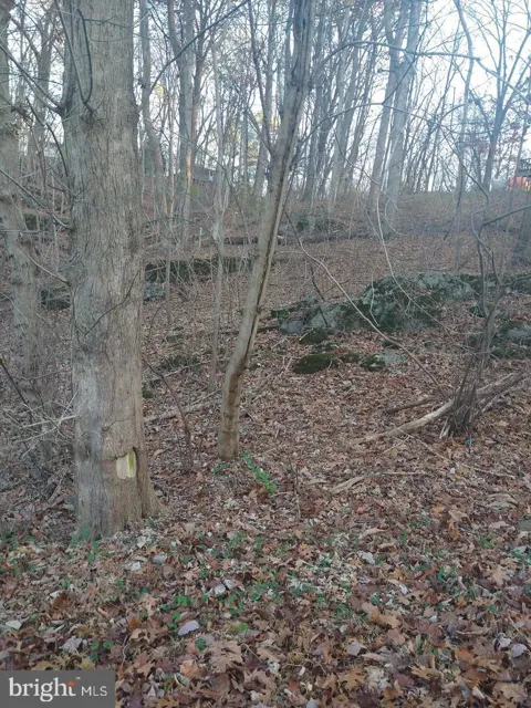 PIN OAK ROAD