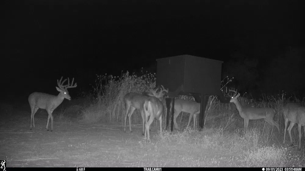 3501-3583 Guadalupe Street