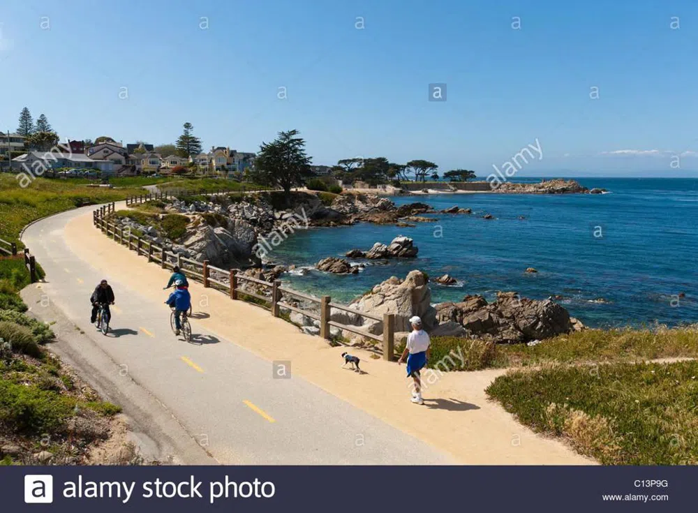 621 Mcclellan Avenue #Studio Monterey, CA 93940