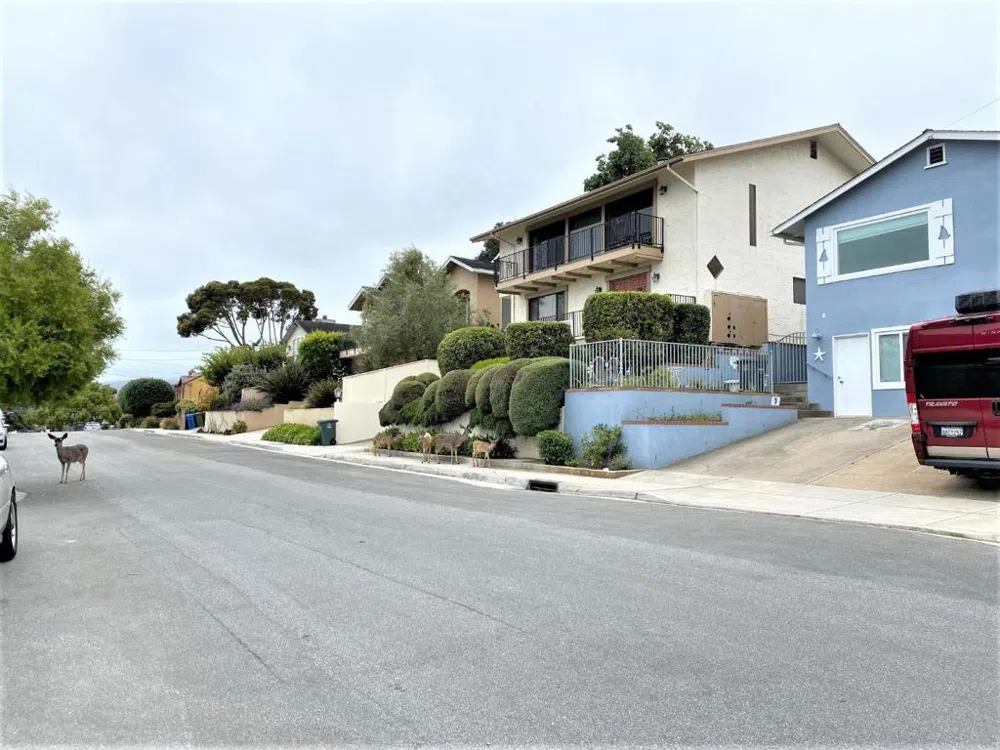 621 Mcclellan Avenue #Studio Monterey, CA 93940