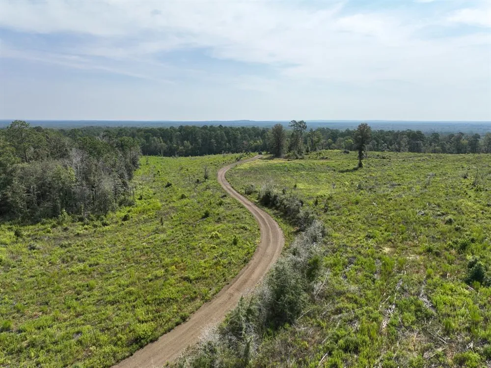1 County Road 3725 Colmesneil, TX 75938