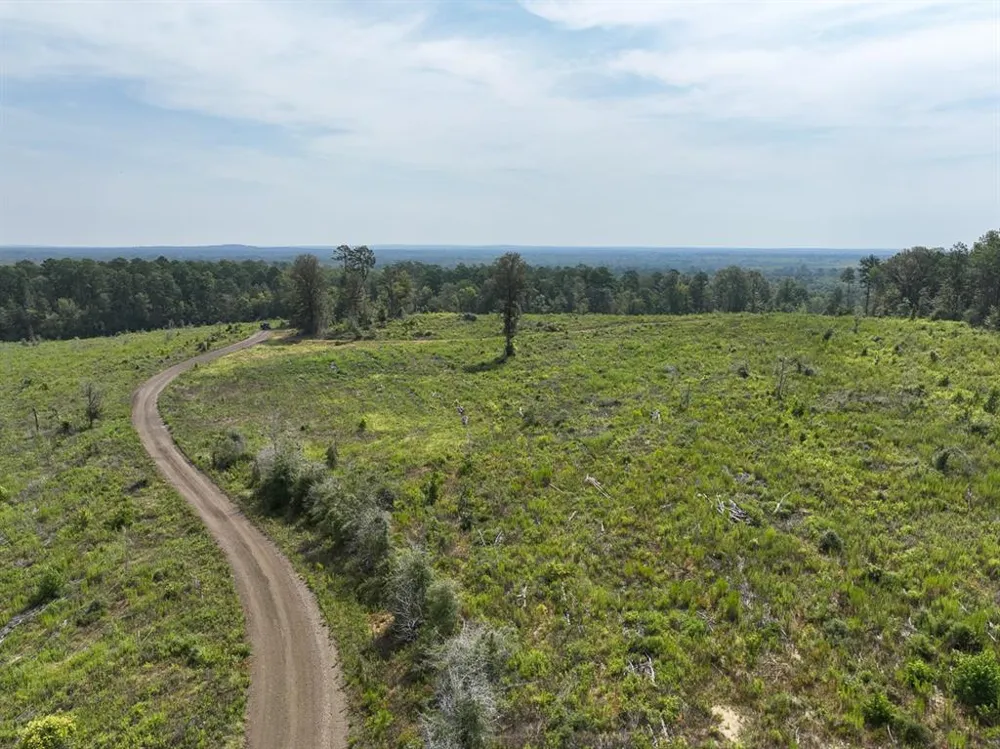 1 County Road 3725 Colmesneil, TX 75938