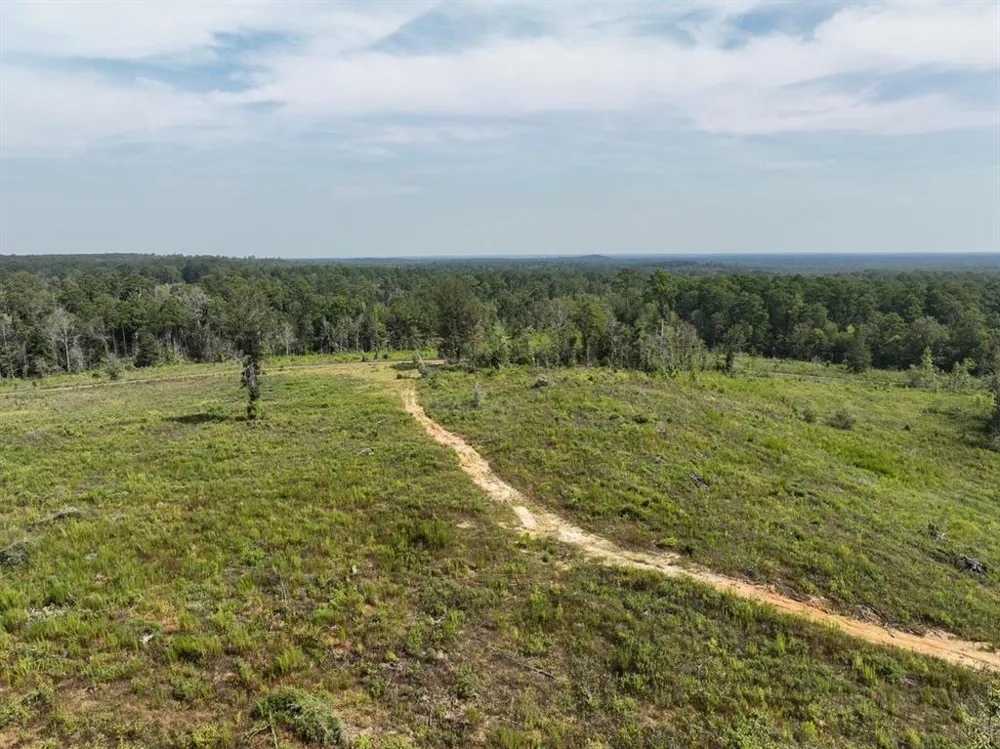 1 County Road 3725 Colmesneil, TX 75938