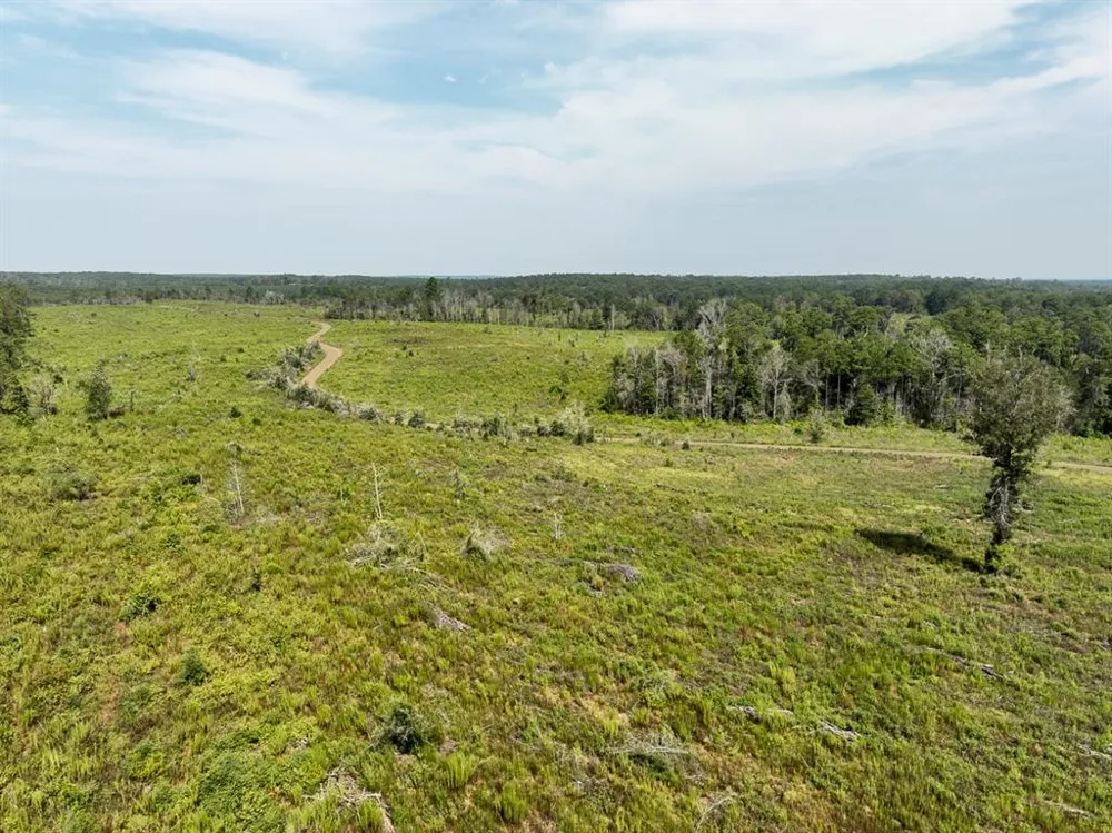 1 County Road 3725 Colmesneil, TX 75938