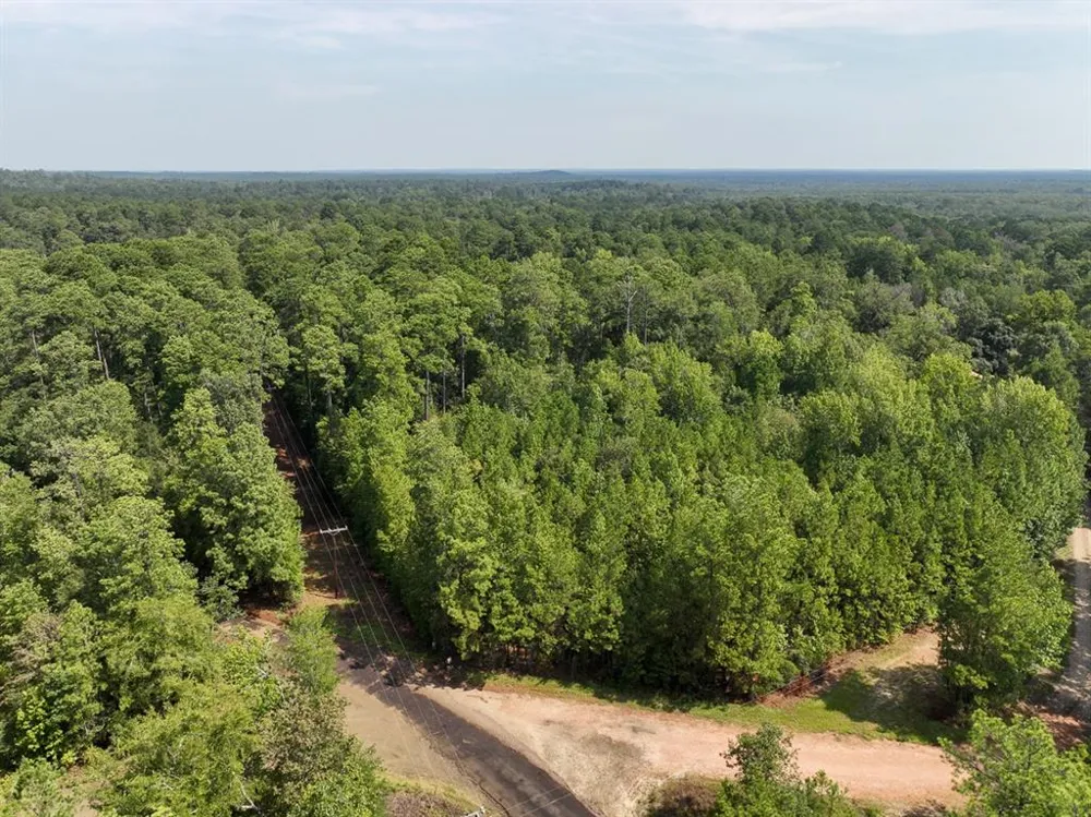 1 County Road 3725 Colmesneil, TX 75938
