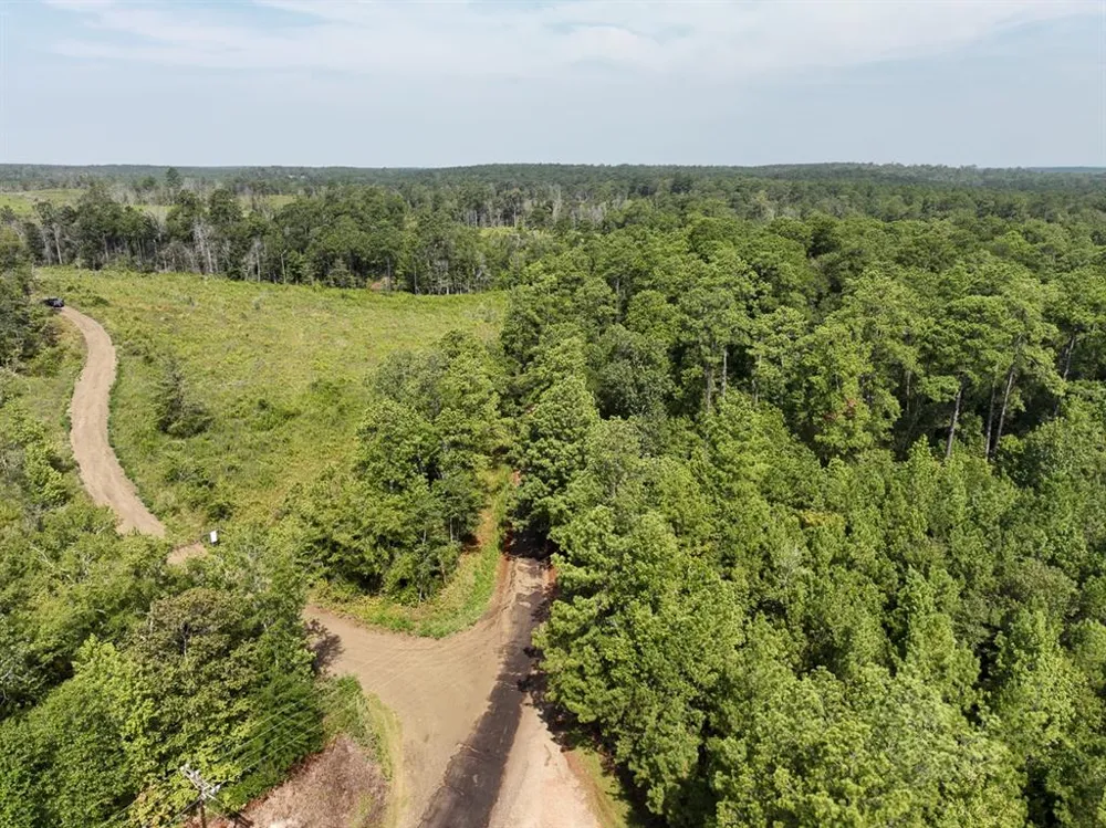 1 County Road 3725 Colmesneil, TX 75938