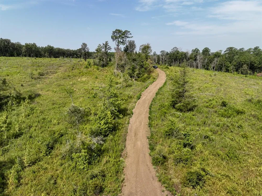 1 County Road 3725 Colmesneil, TX 75938