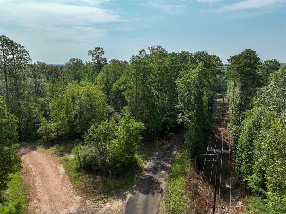 1 County Road 3725 Colmesneil, TX 75938