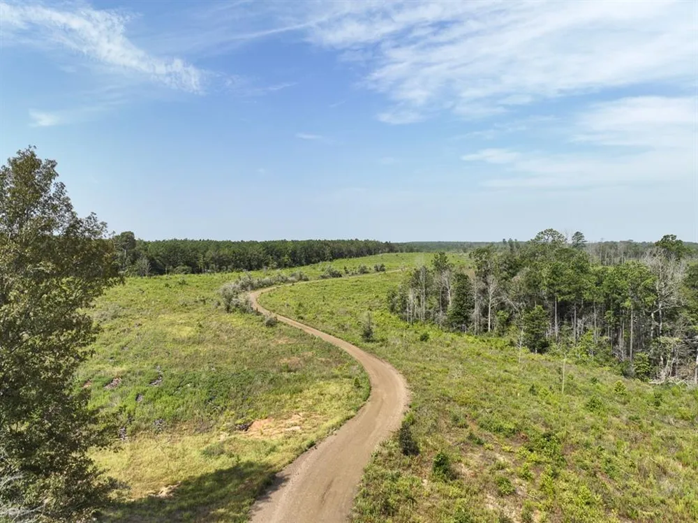 1 County Road 3725 Colmesneil, TX 75938